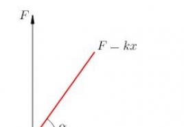 В чем измеряется упругость в физике