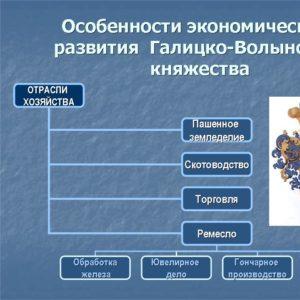 Galicia-Volyn principality - a brief description of the management system, political structure, features of the economy Roman Mstislavovich united the Galician and Volyn principalities