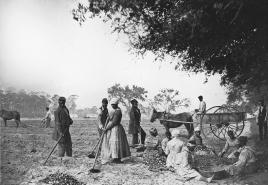 사진과 사진으로 보는 미국 노예 무역의 간략한 역사