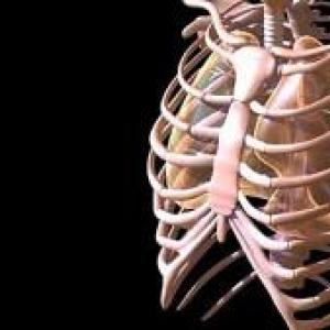 Рух на рівні грудного відділу хребта Рух грудної