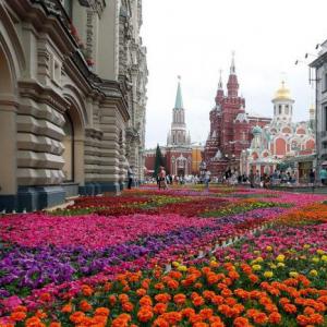 Seventh Moscow Flower Festival in Muzeon Exhibition of flowers and gardens in Muzeon