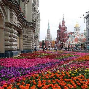 Al șaptelea festival de flori de la Moscova în Muzeon Expoziție de flori și grădini în Muzeon