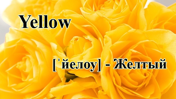 Rože v angleščini s prevodom in prepisom: flower power