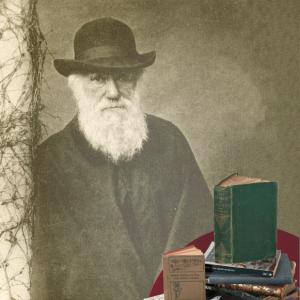 Die Evolutionstheorie von Ch. Darwin.  Ch. Darwins Evolutionslehre liefert Beweise für die Evolutionslehre