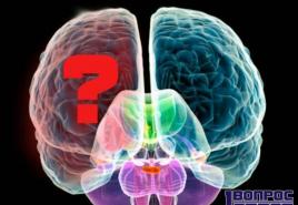 Di cosa sono responsabili gli emisferi destro e sinistro del cervello e come svilupparli