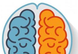 Skrivnost naših možganov oziroma za kaj sta odgovorni leva in desna polobla