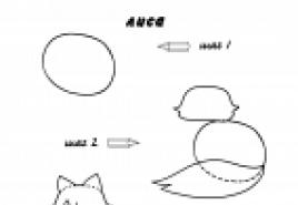 Notes of an integrated drawing lesson in the senior group: “Trees Notes of drawing lessons in the senior group of kindergarten