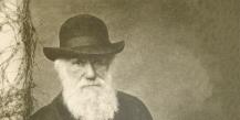 Teoria evoluționistă a lui Charles Darwin.  Doctrina evoluției de Charles Darwin Oferă dovezi că doctrina evoluției