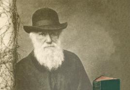 La théorie évolutionniste de Ch. Darwin.  La doctrine de l'évolution de Ch. Darwin Fournir la preuve que la doctrine évolutionniste