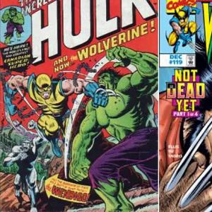Biografija Wolverine Iz česa je sestavljeno okostje Wolverine