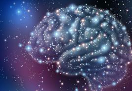 Podobnost vesolja in možganskih celic