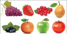 Melyik gyümölcsnek lesz sok magja?