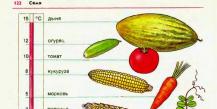 Прорастание семян — Гипермаркет знаний