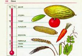 Kaljivost semen - Hipermarket znanja
